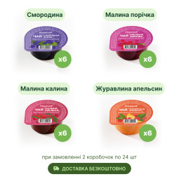 Вітамікс ягідний